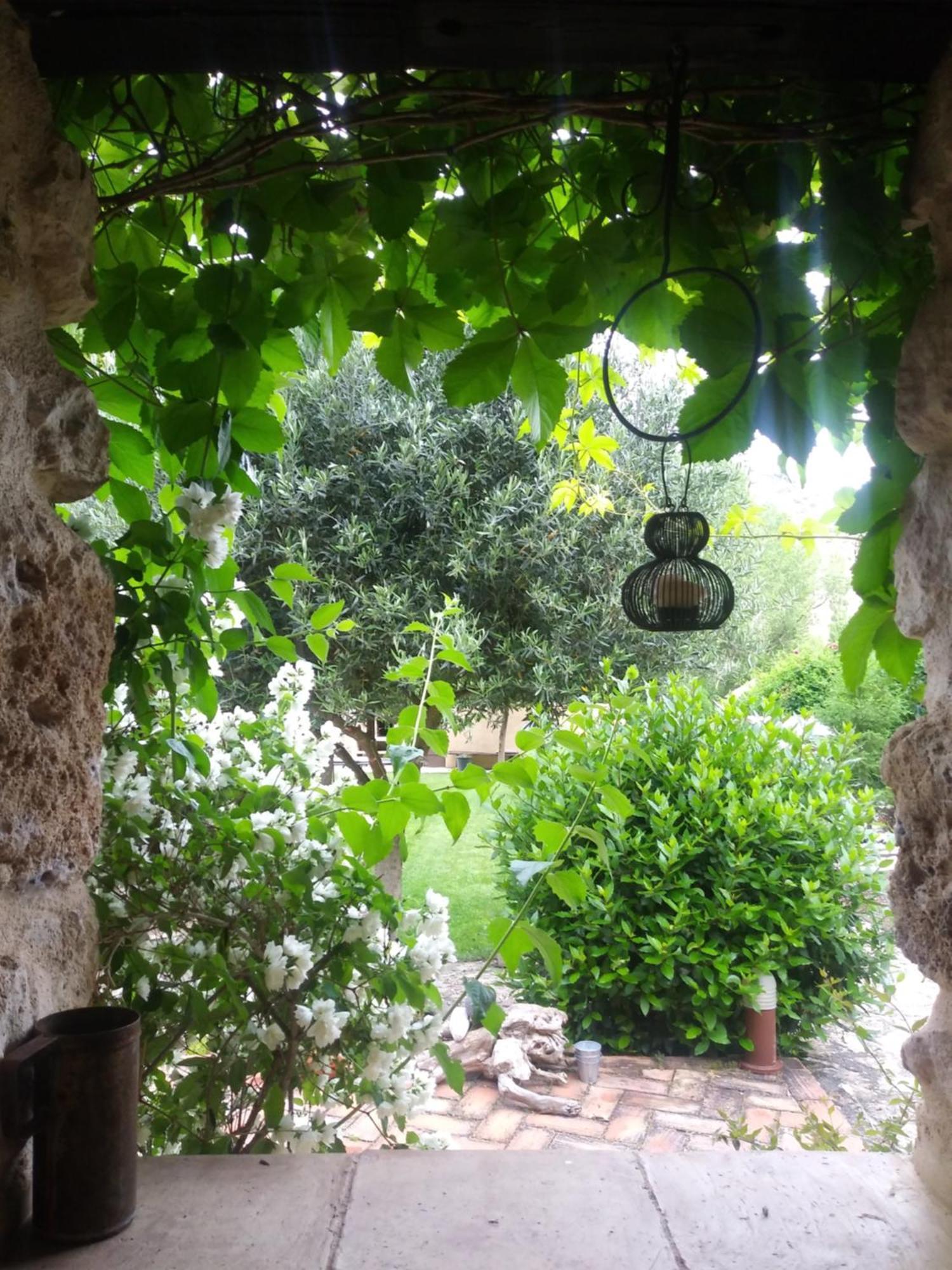 Casa Corazon De Piedra En El Rio Dulce Pensionat Aragosa Eksteriør billede